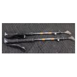 Pair of Walking Sticks