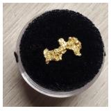 Alaska Gold Nugget #1