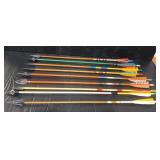 (9) Vintage Rare Arrows
