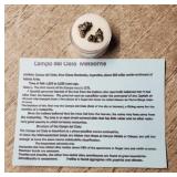 Meteorite Space Rock w/COA