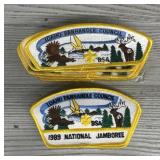 (20) Vintage Idaho Council Boy Scout Patches