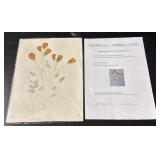 'Delicate Field Flowers' Original Acrylic on Paper