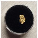 Alaska Gold Nugget #6
