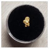 Alaska Gold Nugget #10