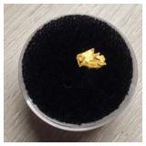 Alaska Gold Nugget #9