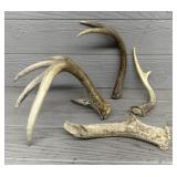 (4) Various Antlers