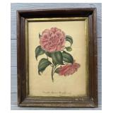 Vintage Framed Camellia Floral Print