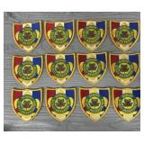 (12) Schiff Scout Reservation Boy Scout Patches