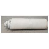 Blue Carpet Remenent