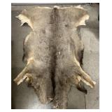 Deer Pelt