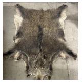 Boar Pelt