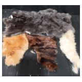 Variety of Rabbit Hides
