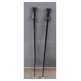Set of Ski Poles