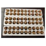 (60) Rounds 204 Ruger Ammo