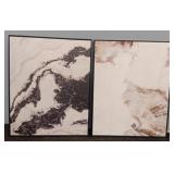 (2) Canvas Prints In Frames