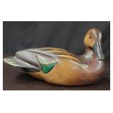 Friends NRA Wood Duck