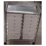 12-Drawer Storage Organizer