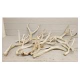 Assortment of Craft Antlers