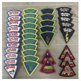 (37) Various Girl Scout Patches