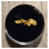 Alaska Gold Nugget #3
