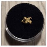 Alaska Gold Nugget #6