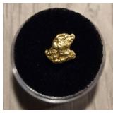 Alaska Gold Nugget #5