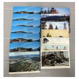 (14) Vintage Idaho Post Cards