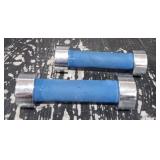 Pair of 2.5lb Weights
