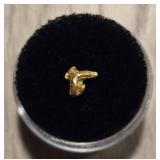 Alaska Gold Nugget #10