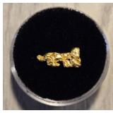 Alaska Gold Nugget #1