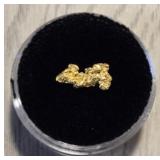 Alaska Gold Nugget #4