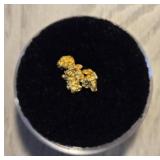 Alaska Gold Nugget #2
