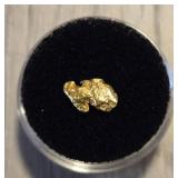 Alaska Gold Nugget #3