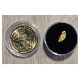 Alaska Gold Nugget w/ Gold Plated Klondike Coin #5