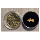 Alaska Gold Nugget w/ Gold Plated Klondike Coin #4