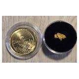 Alaska Gold Nugget w/ Gold Plated Klondike Coin #3
