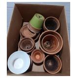 Variety of Flower Pots