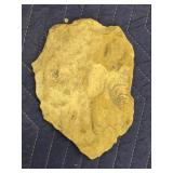 Fossil Stone