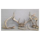 (3) Deer Antler Sets