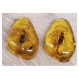 (2) Amber Scorpions