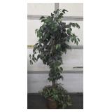 6ft Silk Tree Decor