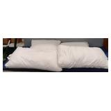 (4) Pillows
