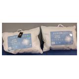 (2) Down Pillows Sealed