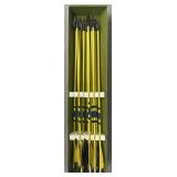 (10) Archery Hunting Arrows