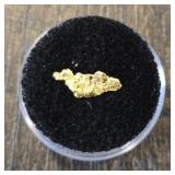 Alaska Gold Nugget #3