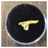 Alaska Gold Nugget #4