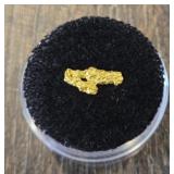 Alaska Gold Nugget #2