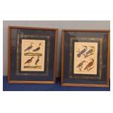 (2) Prints In Frames