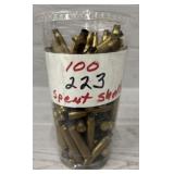 (100) 223 Spent Shells