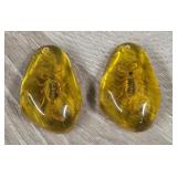 (2) Scorpion in Amber